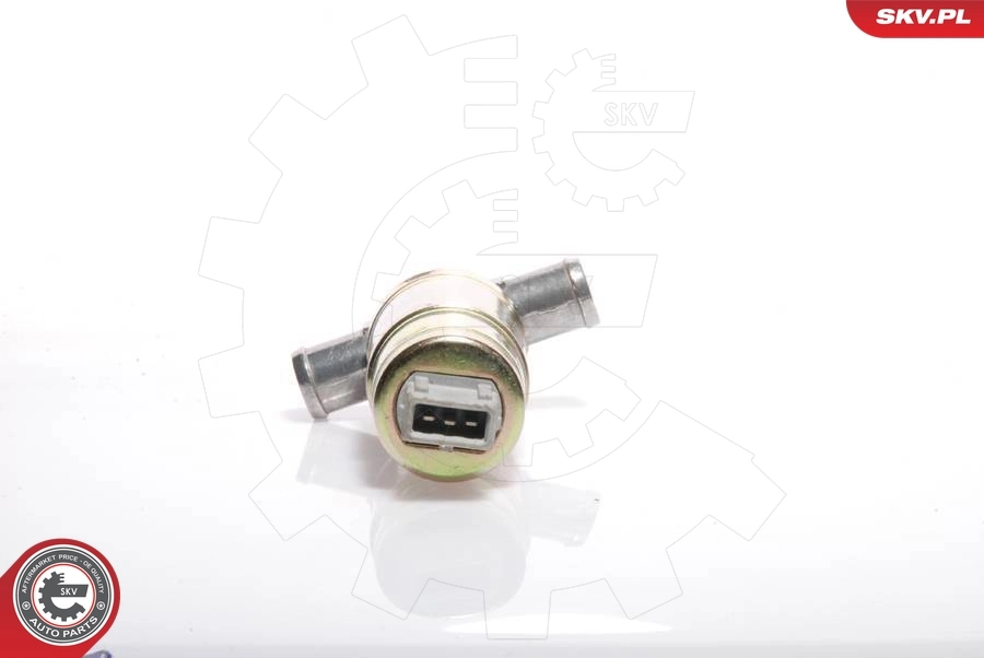 Idle Control Valve, air supply